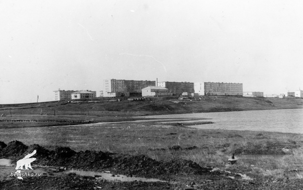 Поселок Белушья губа