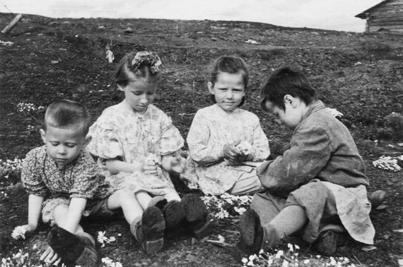 Новоземельские дети собирают ромашки. Белушья Губа, 1955 г. Новоземельские дети собирают ромашки