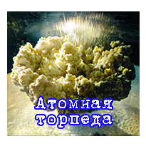Первая атомная торпеда