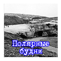 Полярные будни