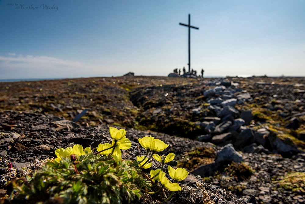 Ледяная гавань. Новая Земля.
