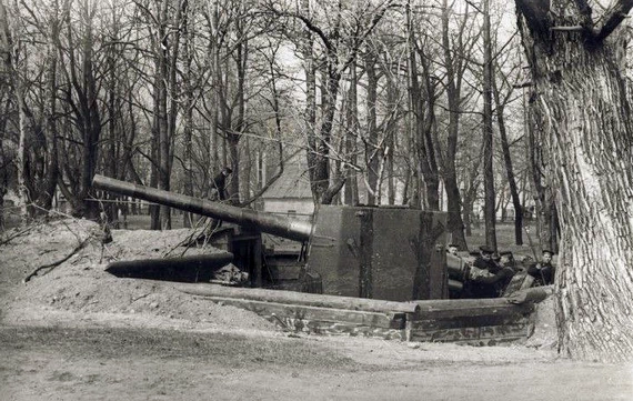 Орудие в Петровском парке Кронштадта