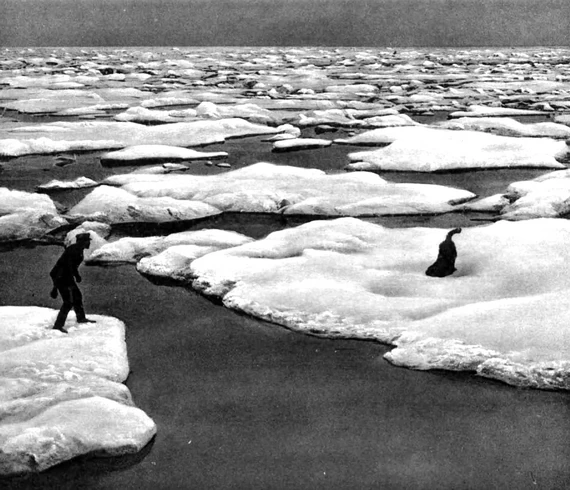 «Бельжика» в Карском море