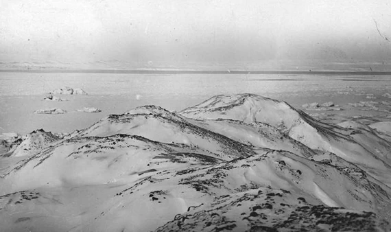 Поверхность конечной морены. Архипелаг Новая Земля, район залива Русская Гавань.