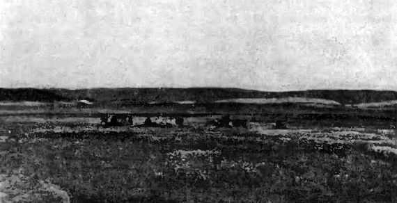 Аргиш оленей в долине р. Рогачевой