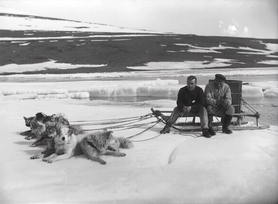 Поездка за водой на собаках