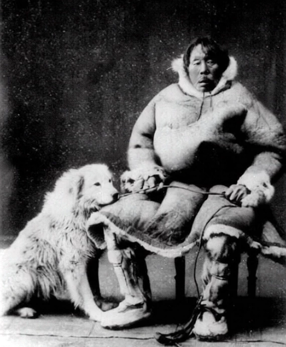 Самоед с собакой