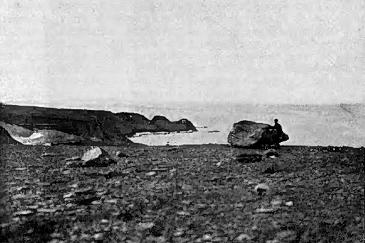 Панкратьев полуостров. Моренный ландшафт.